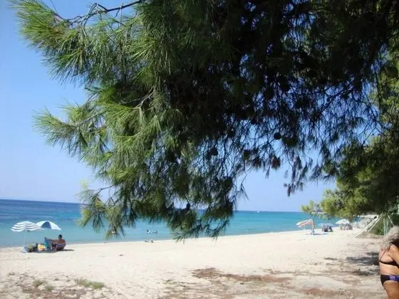 Apart Daire, Birden Çok Yatak