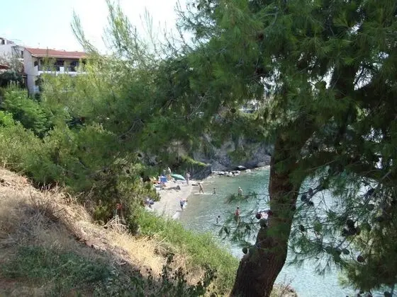 Apart Daire, Birden Çok Yatak