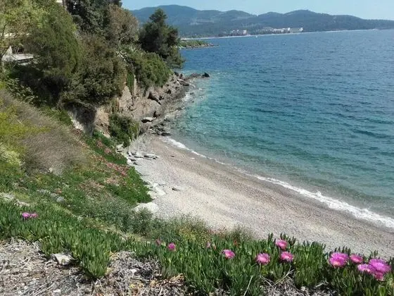 Apart Daire, Birden Çok Yatak