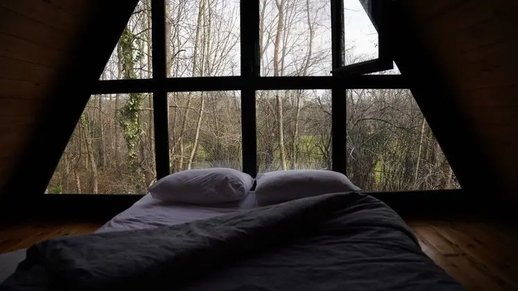 Frame House