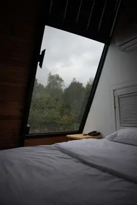 Frame House Modern