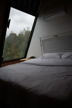 Frame House Modern