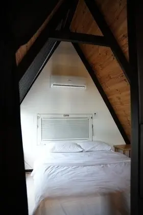 Frame House Modern