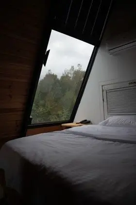 Frame House Modern