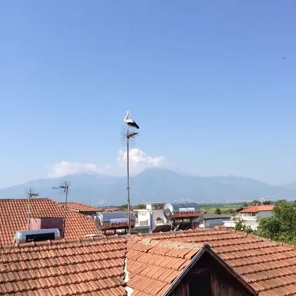 Basic Stüdyo