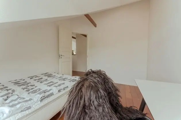 Luxury Apart Daire