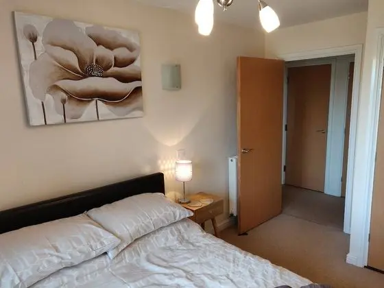 Apart Daire, 2 Yatak Odası, Mikrodalga
