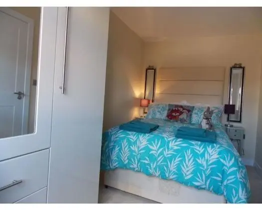Çatı Katı Süiti (Penthouse), Banyolu/Duşlu, Şehir Manzaralı