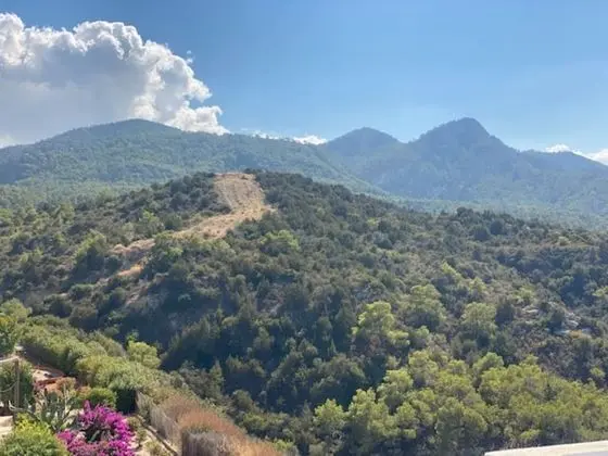 Apart Daire, 2 Yatak Odası, Balkon