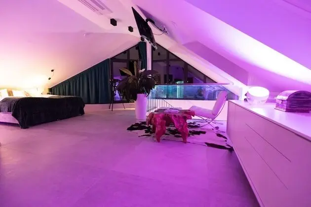 Çatı Katı Süiti (Penthouse)