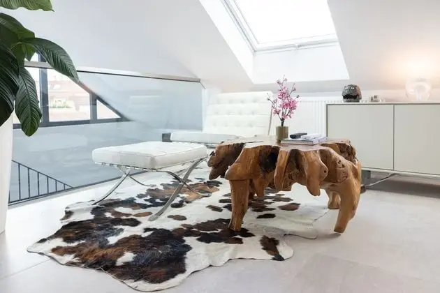 Çatı Katı Süiti (Penthouse)