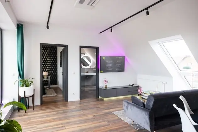 Junior Çatı Katı Süiti (Penthouse)