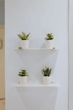 Ev