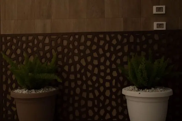 Ortak Ranzalı Oda, 1 Yatak Odası, Teras