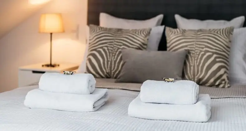 Çatı Katı Süiti (Penthouse)