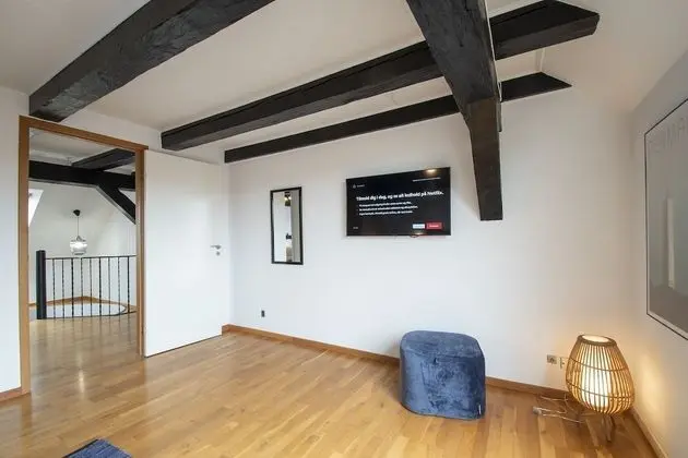 Business Çatı Katı Süiti (Penthouse), 2 Çift Kişilik Yatak, Şehir Manzaralı