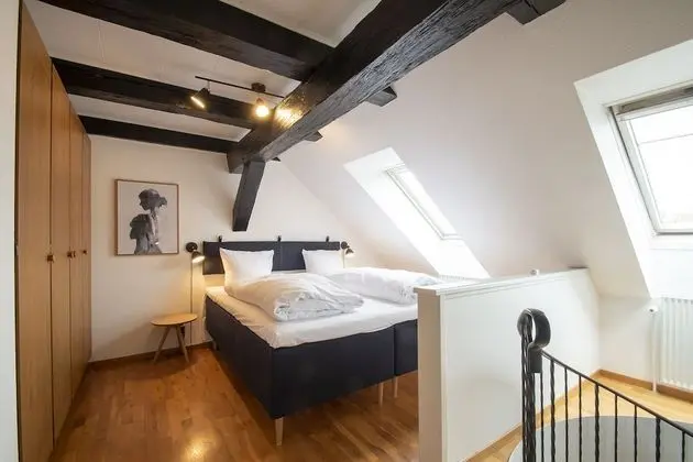 Business Çatı Katı Süiti (Penthouse), 2 Çift Kişilik Yatak, Şehir Manzaralı