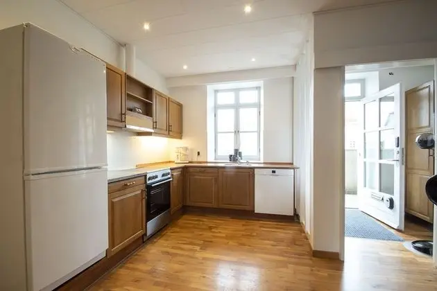 Business Çatı Katı Süiti (Penthouse), 2 Çift Kişilik Yatak, Şehir Manzaralı