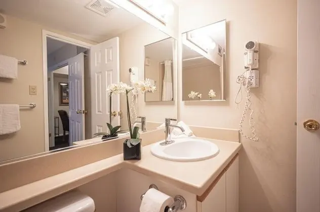 Executive Çatı Katı Süiti (Penthouse)