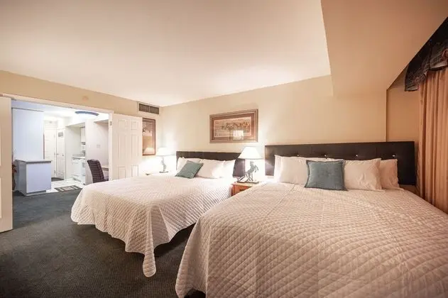 Executive Çatı Katı Süiti (Penthouse)