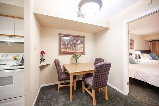 Executive Çatı Katı Süiti (Penthouse)