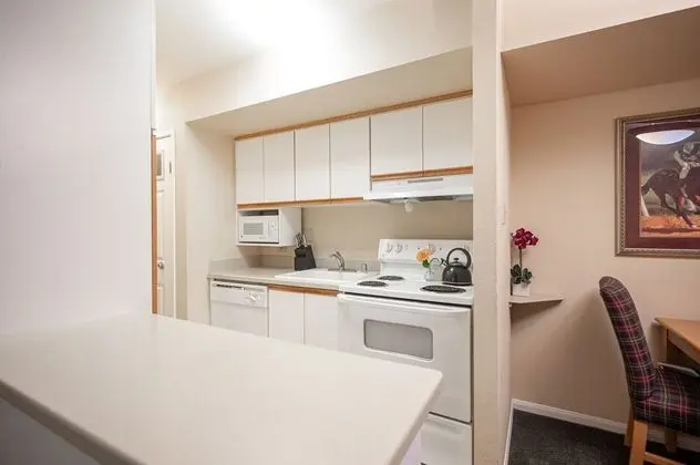 Executive Çatı Katı Süiti (Penthouse)
