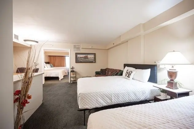 Executive Çatı Katı Süiti (Penthouse)