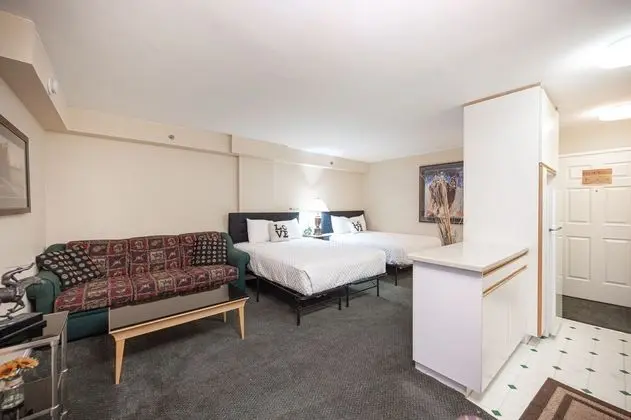 Executive Çatı Katı Süiti (Penthouse)