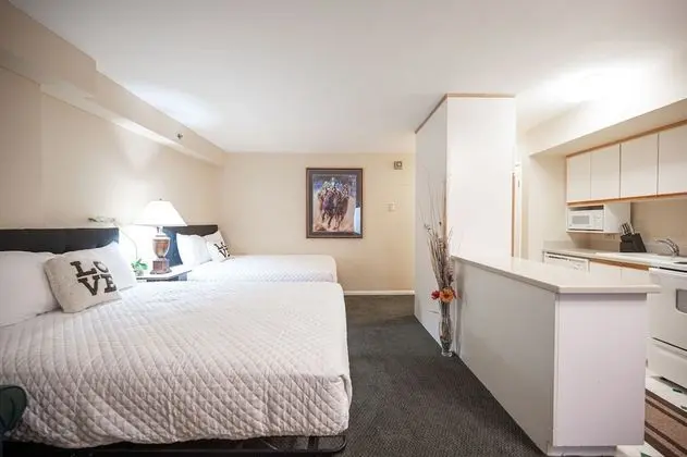 Executive Çatı Katı Süiti (Penthouse)
