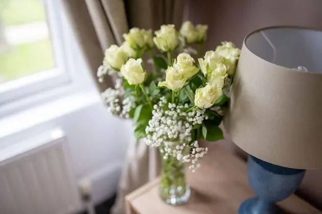 Superior Tek Büyük Yataklı Oda, 1 Çift Kişilik Yatak, Banyolu/Duşlu