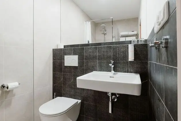 Basic Tek Büyük Yataklı Oda, 1 Yatak Odası