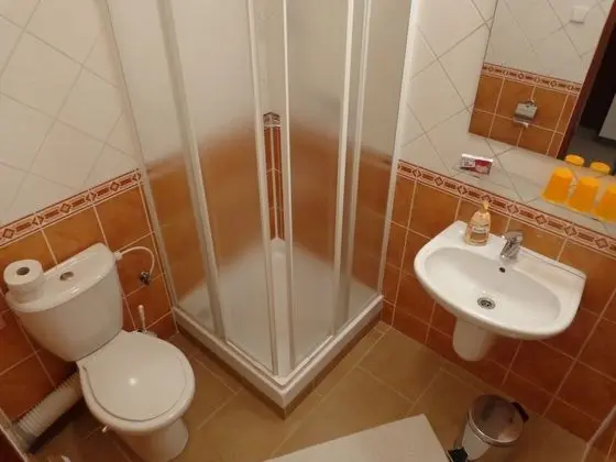 Superior Tek Büyük veya İki Ayrı Yataklı Oda