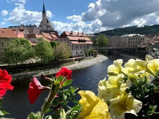 Comfort Dört Kişilik Oda, Nehir Manzaralı