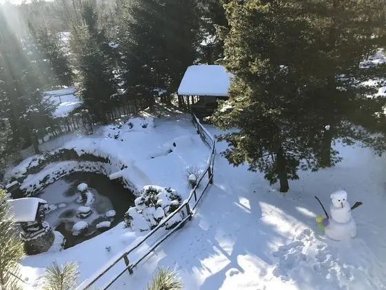 Traditional Tek Büyük veya İki Ayrı Yataklı Oda