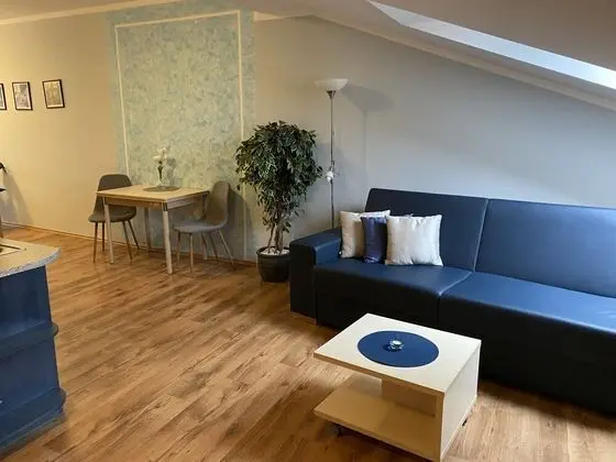 Deluxe Stüdyo Süit