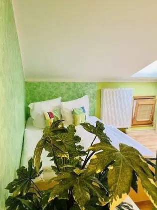 Tek Büyük Yataklı Oda (attic)