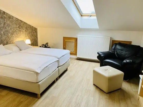 Tek Büyük Yataklı Oda (attic)