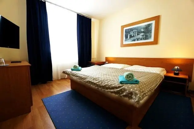 Standard Tek Büyük Yataklı Oda, Özel Banyo