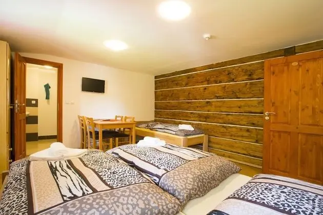 Basic Tek Büyük veya İki Ayrı Yataklı Oda (+ Extra bed)