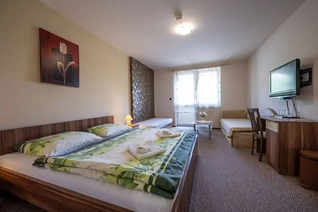 Comfort Üç Kişilik Oda (with 2 extra beds)