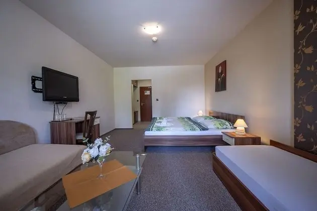 Comfort Üç Kişilik Oda (with 2 extra beds)
