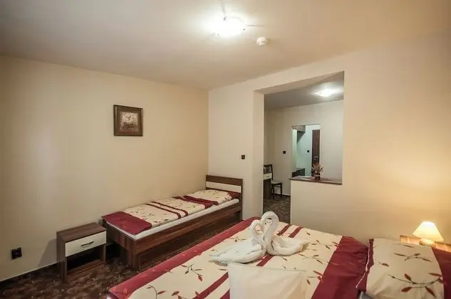 Comfort Üç Kişilik Oda (with 2 extra beds)