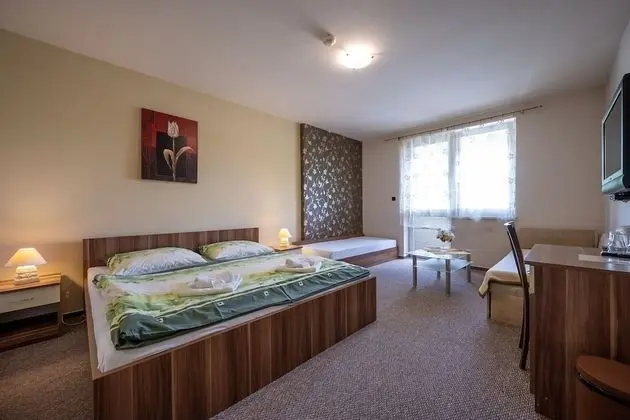 Tek Büyük Yataklı Oda (with extra bed)