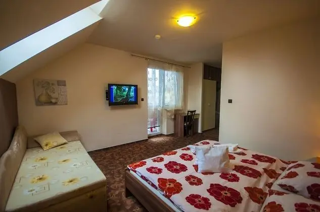 Tek Kişilik Oda, Dağ Manzaralı (with 2 extra beds)