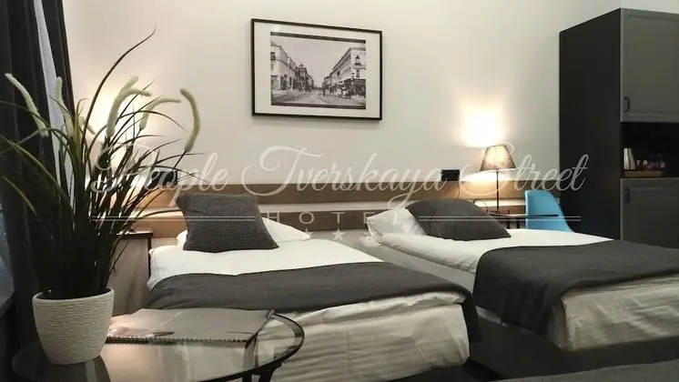 Standard İki Ayrı Yataklı Oda, 2 Tek Kişilik Yatak, Sigara İçilmez