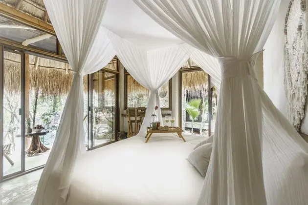 Superior Kulübe (Eco Casita in the Jungle)