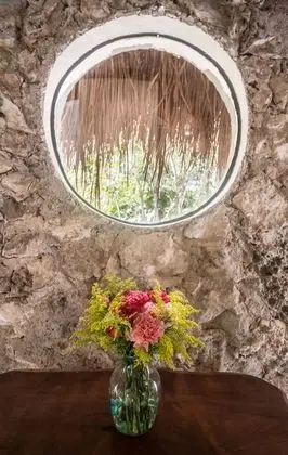 Superior Kulübe (Eco Casita in the Jungle)