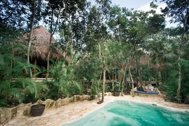 Superior Kulübe (Eco Casita in the Jungle)