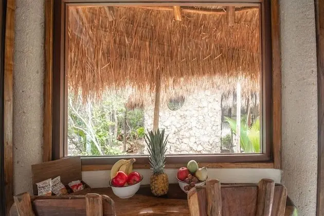 Superior Kulübe (Eco Casita in the Jungle)