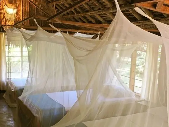 Family Çadır (Family Bandas )